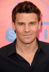 David Boreanaz photo